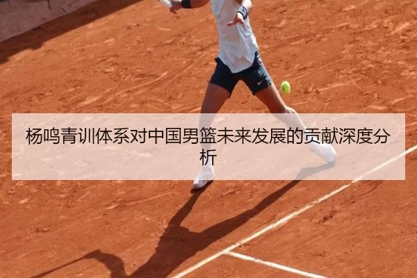 杨鸣青训体系对中国男篮未来发展的贡献深度分析