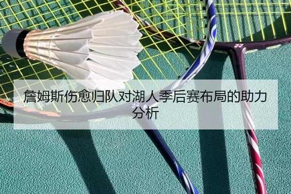 詹姆斯伤愈归队对湖人季后赛布局的助力分析